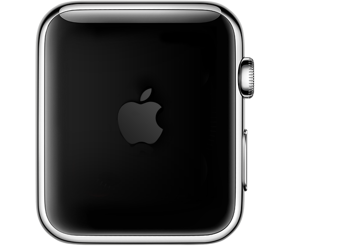 Apple Watch reset screen