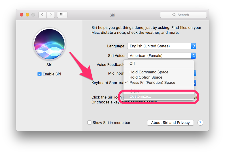 macos-sierra-system-preferences-siri-keyboard-shortcut