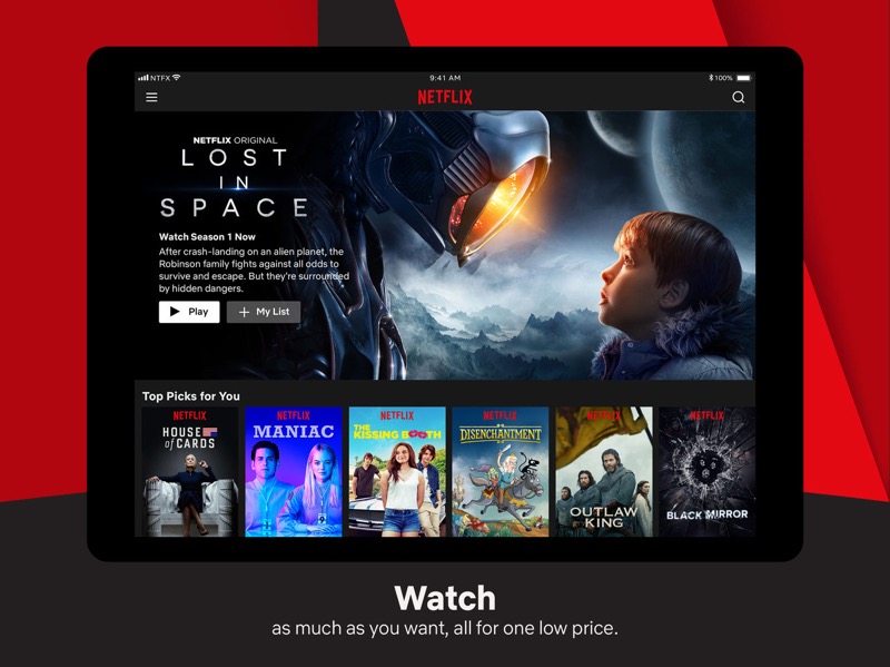 Netflix iPad App