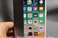 Apple iPhone 12 Dummy Case Leak