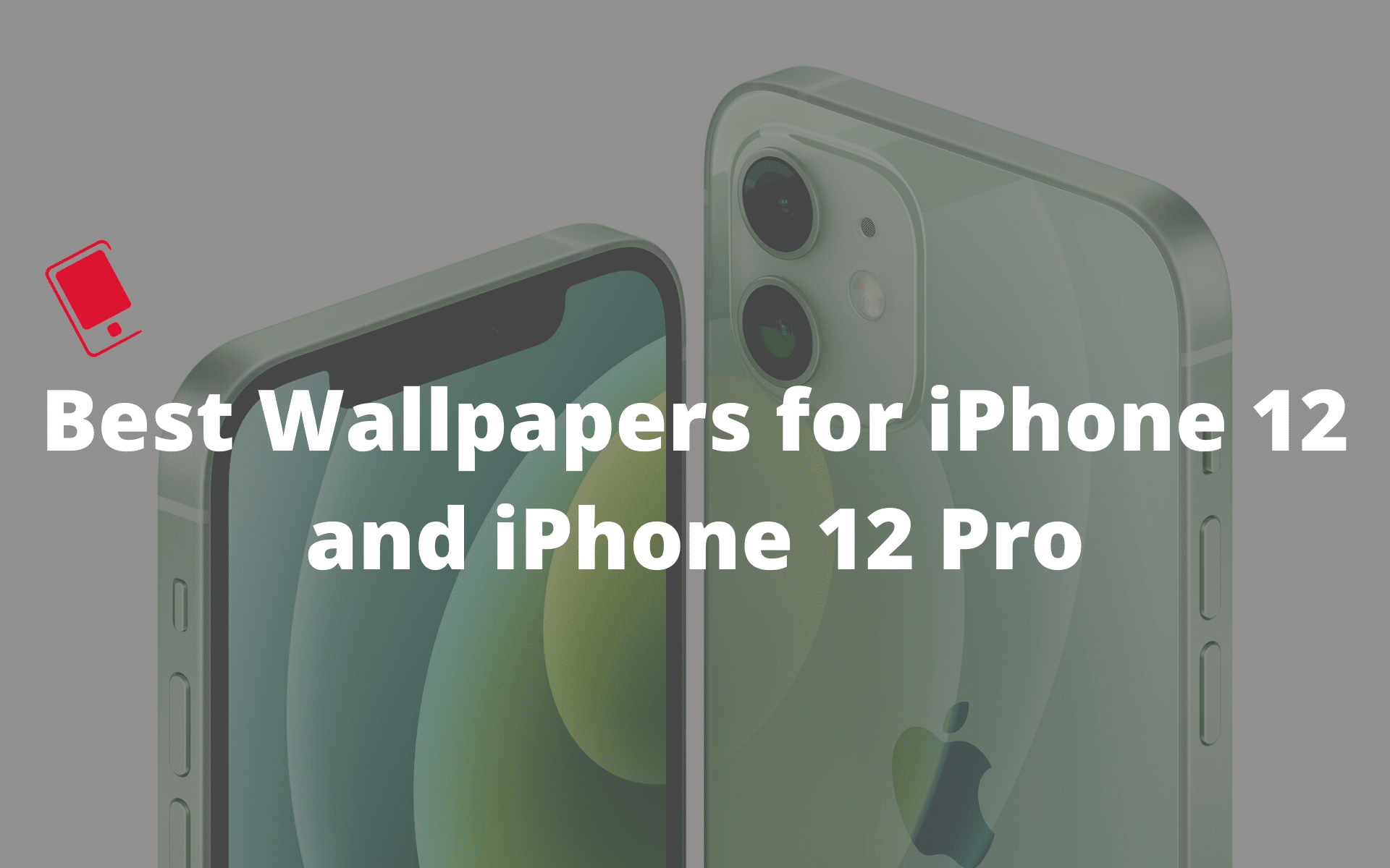 iPhone 12 and iPhone 12 Pro wallpapers