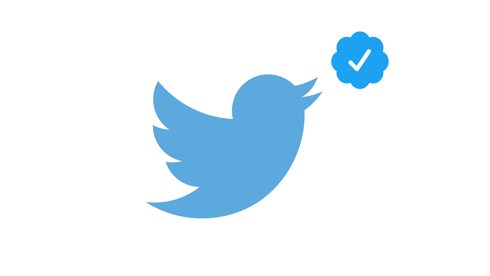 twitter new verification program blue