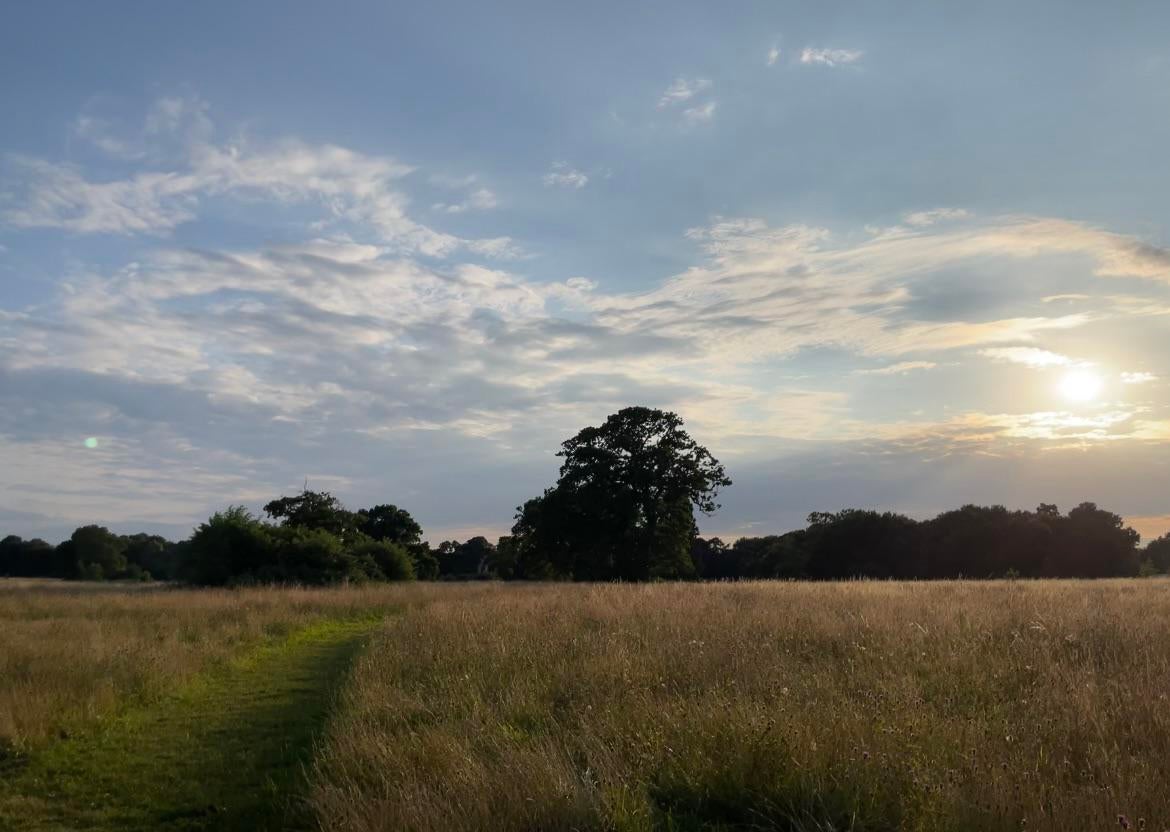 iOS 15 Beta Automatically Removes Lens Flare From iPhone Photos