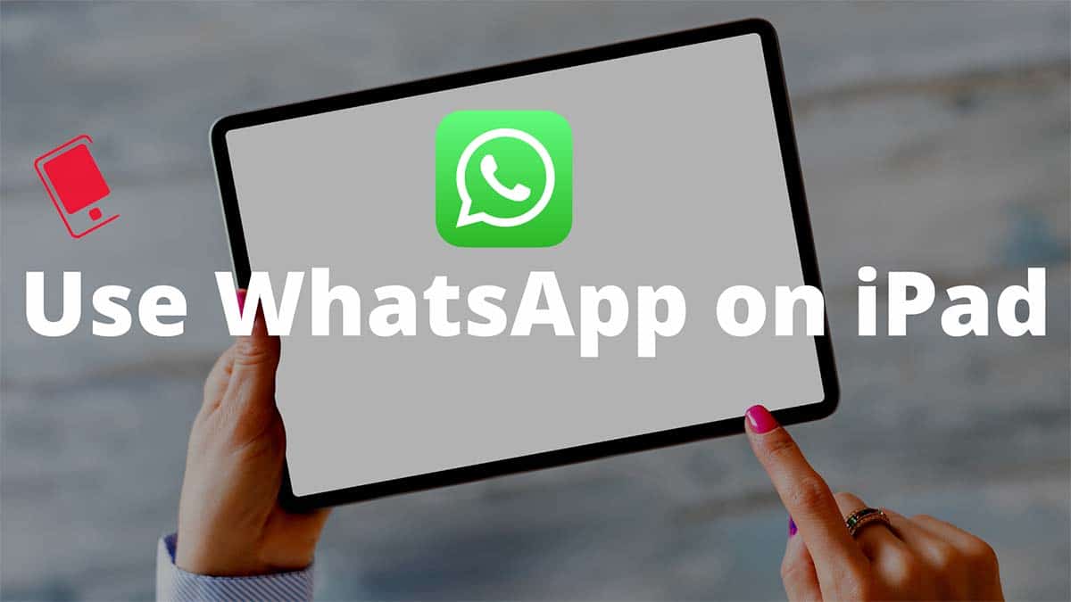 use whatsapp on iPad