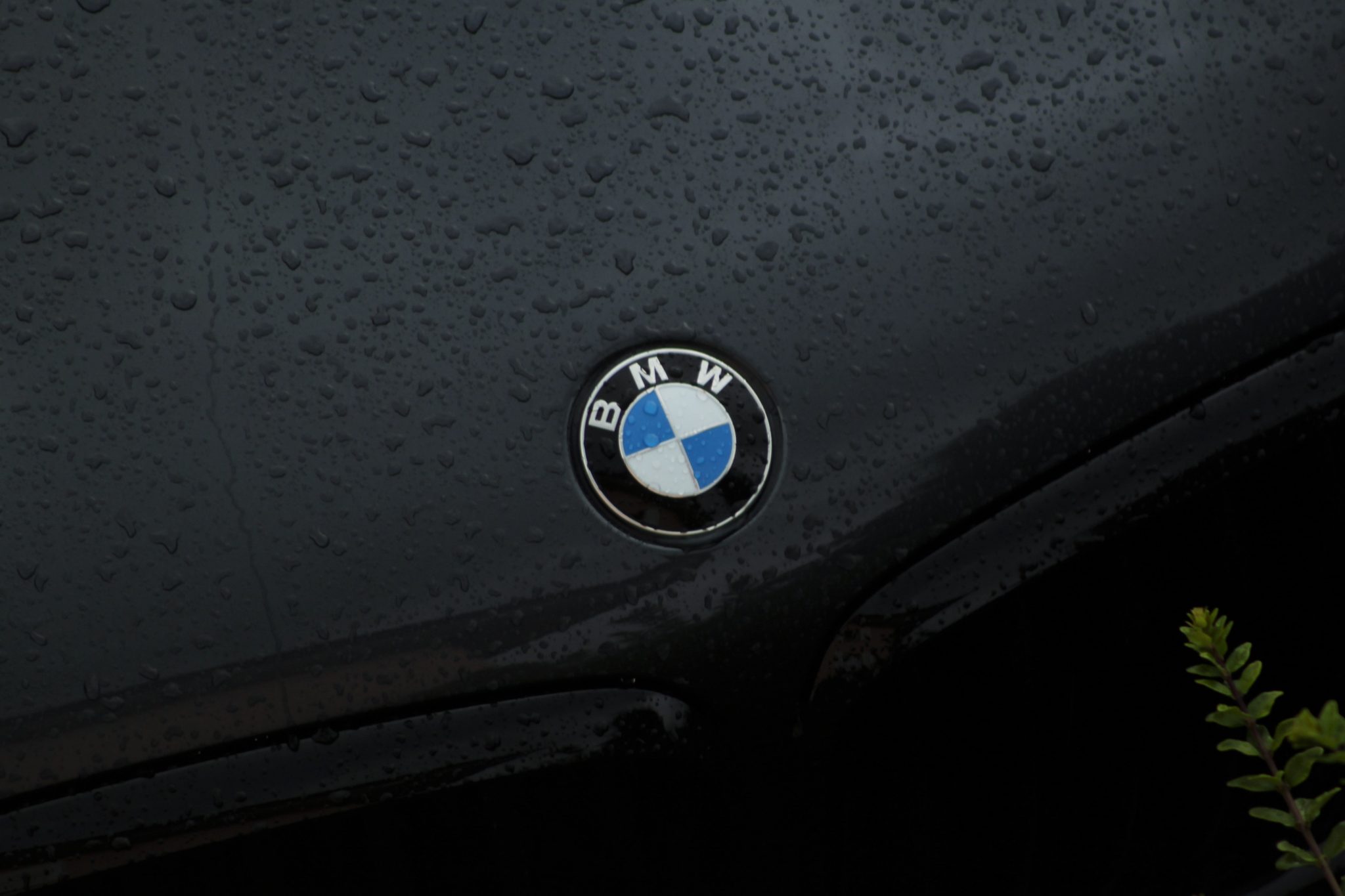 BMW hood logo Unsplash
