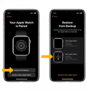 View of Apple Watch Backup: How to Backup Your Apple Watch Easily